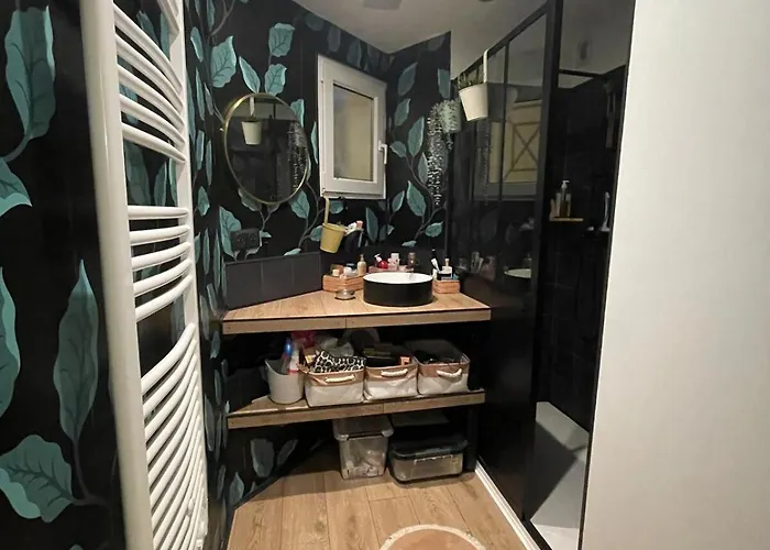 Lejlighed Cozy T2 Au Sud De Toulouse *