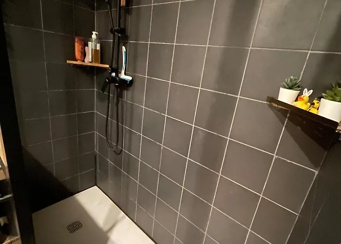 Lejlighed Cozy T2 Au Sud De Toulouse Pechabou