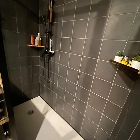 Апартаменты Cozy T2 Au Sud De Toulouse Pechabou